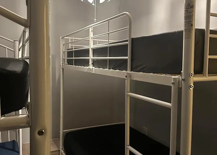 Shared Male Vandrerhjem