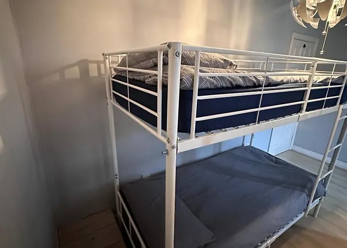 Vandrerhjem Shared Male